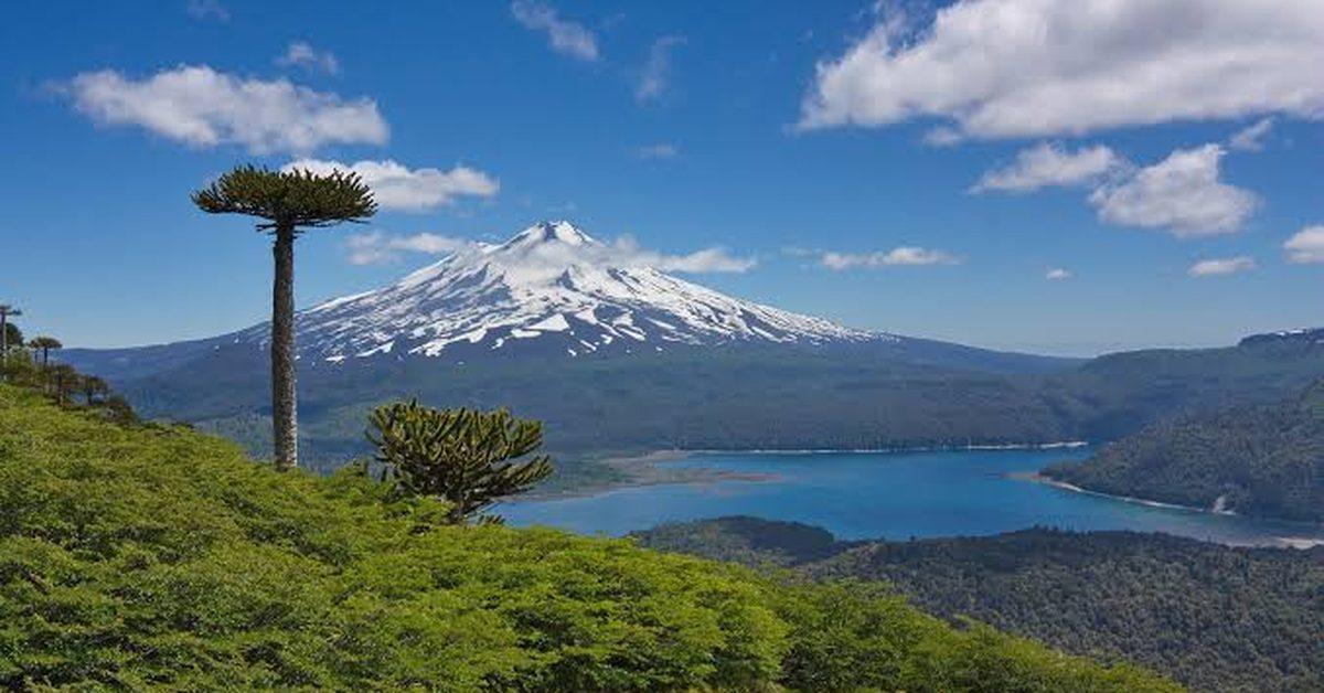 Volcán nevado y araucarias sobre un lago cordillerano de La Araucanía.